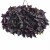 black-heart_ipomea-batatas_15603_1.jpg