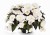joy-mocca-white_begonia-x-tuberhybrida_40725_1.jpg