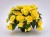joy-yellow_begonia-x-tuberhybrida_40723_1.jpg