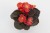 senator-iq-scarlet_begonia-semperflorens_40923_2.jpg