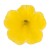 metro-early-bright-yellow_calibrachoa-x-hybrida_13952_2.jpg