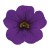 metro-early-deep-blue_calibrachoa-x-hybrida_13954_2.jpg