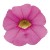 metro-early-light-pink_calibrachoa-x-hybrida_13956_2.jpg