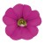 metro-early-pink_calibrachoa-x-hybrida_13960_2.jpg