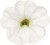 metro-early-white-compact_calibrachoa-x-hybrida_13953_2.jpg