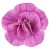 twist-double-magenta_calibrachoa-x-hybrida_13963_2.jpg