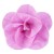 twist-double-pink_calibrachoa-x-hybrida_13964_2.jpg