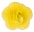twist-double-yellow_calibrachoa-x-hybrida_13966_2.jpg